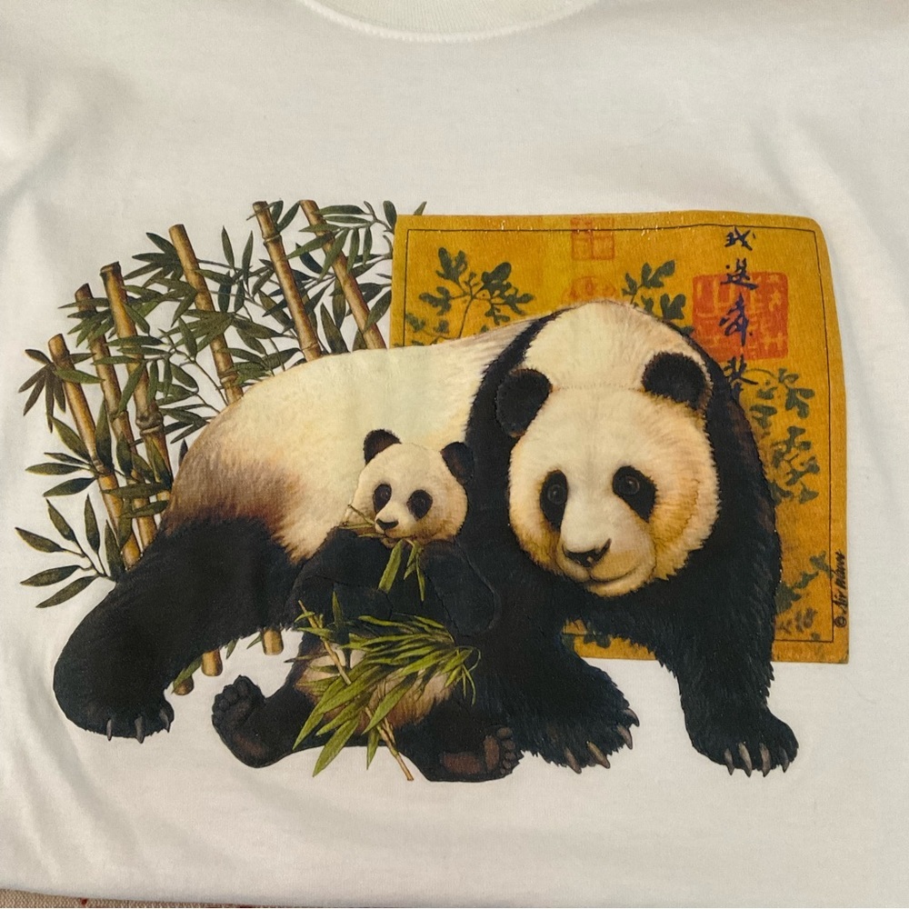 China Giant Panda by Air Waves Hanes Heavyweight 50/50 Graphic Shirt Adult Large - Picture 5 of 6